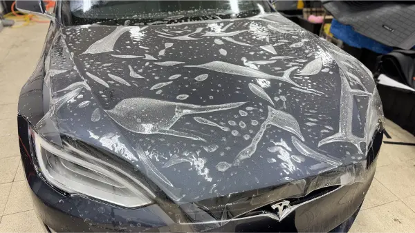Tesla PPF Process